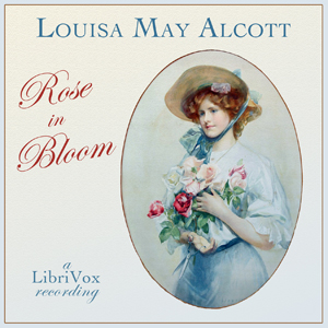 Rose in Bloom