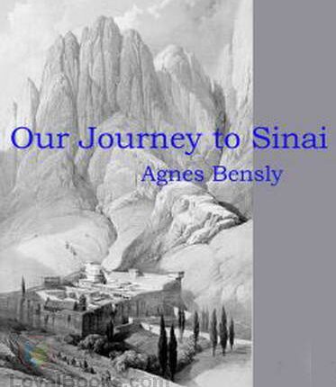 Our Journey to Sinai